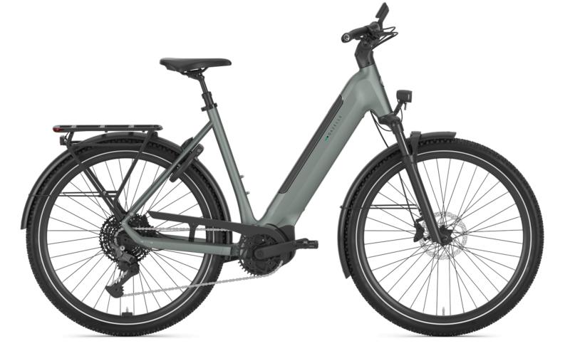 <p>De elektrische fiets, of e-bike, is niet meer weg te denken uit het straatbeeld. Gazelle biedt een breed assortiment fietsen met trapondersteuning. Boodschappen meenemen op de fiets, dagelijks naar je werk of ontspannen door heuvelachtig landschap. Met een duwtje in de rug kom je overal fluitend aan.</p>

